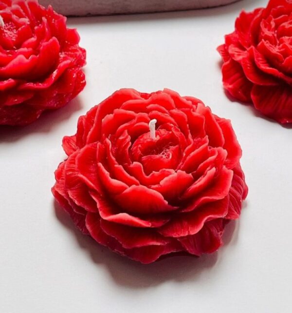 ruby peony – luxury handcrafted scented soy candle