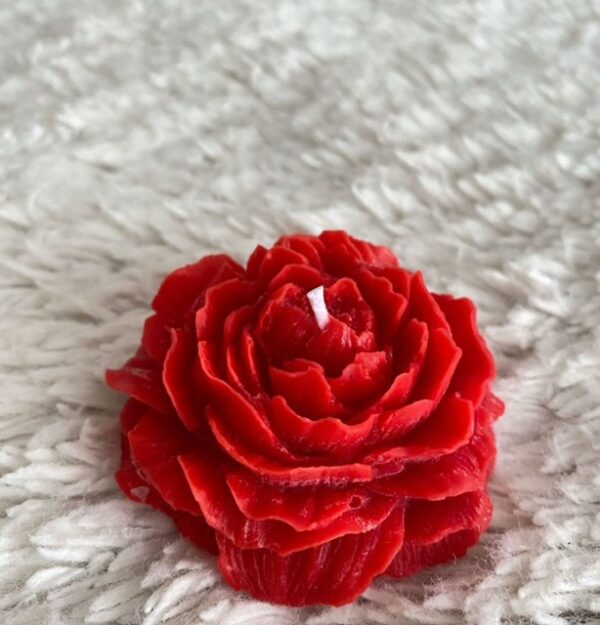 ruby peony – luxury handcrafted scented soy candle
